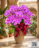 �s��: EP005990 - ������
