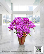 �s��:EP005991 - ������