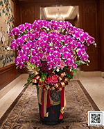 �s��:EP005992 - ������
