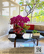 �s��:EP005992 - ������