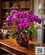 �s��:EP005993 - ������