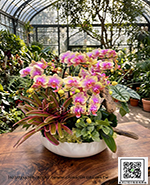 �s��:EP005994 - ������