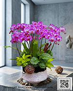 �s��:EP005995 - ������