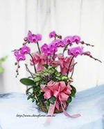 �s��:EP18002_6B - ������