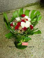 �s��:F00039-1 - �R�A-���ժ������