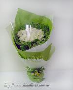 �s��:F00057-1 - �u�R(�ժ������)