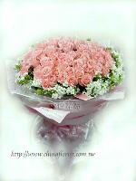 �s��:F00085-1 - �L�����R(���������)