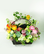 �s��:FR2022B - �������G��§