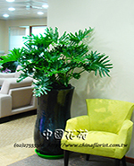 �s��:GE000111B_�j�Ѩ� - �j�Ѩ�