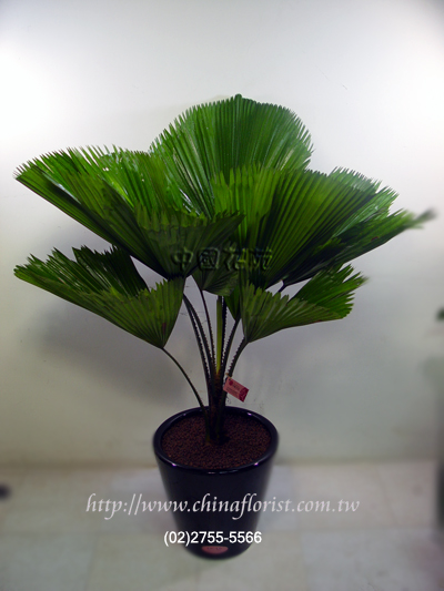 �s��:GE00014 - �긭�Z��