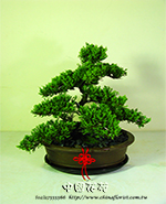 �s��:GE0011310000B - �u�f�ִ�