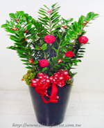 �s��:GE00246-1e - ������