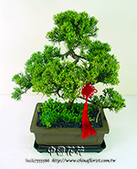 �s��:GE0035100B - �u�f�ִ�