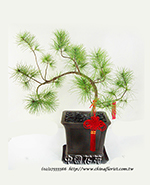 �s��:GE003795100B - �ªQ�ִ�