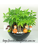 �s��:GE003825 - �o�]��