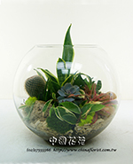 �s��:GE003847 - �����Ᾱ�Ӫ��զX