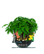 �s��:GE003850 - �o�]�� 