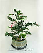 �s��:GE003852 - �긭�ˬf-�Q�f���C