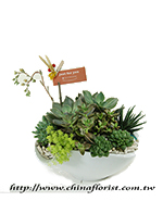 �s��:GE003858 - �h�״Ӫ��զX�ִ�