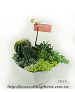 �s��:GE003859 - �h�״Ӫ��զX�ִ�