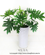 �s��:GE003884 - �j�Ѩ�