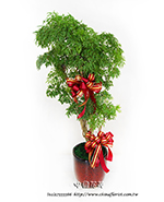 �s��:GE003887 - �I�Q��