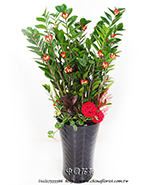 �s��:GE003898 - ������