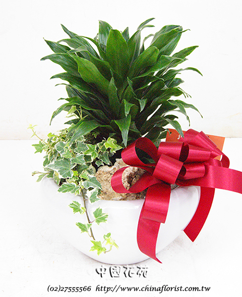 �s��:GE003907 - ���iù�զX�֮�