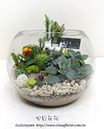 �s��:GE003911 - �����Ᾱ�h�״Ӫ��զX