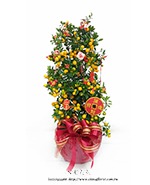 �s��:GE003941 - ����-�~�~��