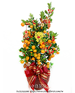 �s��:GE003948 - ����-�j�n�~