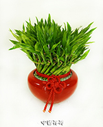 �s��:GE003956 - �}�B��