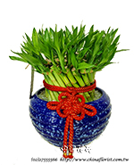 �s��:GE003960 - �}�B��