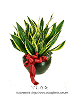 �s��:GE003964 - �����