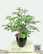 �s��:GE003980�@ - �긭�ˬf-�Q�f���C