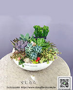 �s��:GE003983 - �h�״Ӫ�