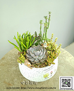 �s��: GE003986a - �h�״Ӫ�