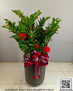 �s��:GE004013 - ������