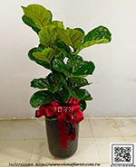 �s��:GE004022 - �^���_