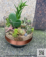 編號:GE004025 - 多肉植物組合盆景