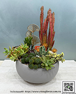 編號:GE004032 - 多肉植物盆栽