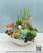 編號:GE004033 - 多肉植物盆栽