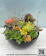 編號:GE004035 - 多肉植物盆栽