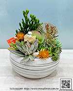 編號:GE004036 - 多肉植物盆栽