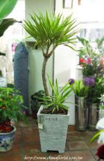 �s��:GU40030 - �ץ[