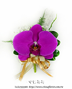 �s��:H00119 - �������ݪ�