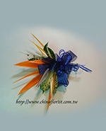 �s��:H00120 - �Ѱ󳾯ݪ�