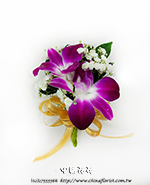 �s��:H00122 - �۱����ݪ�