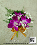 �s��:H00129 - �۱����ݪ�