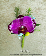 �s��:H00130 - �������ݪ�